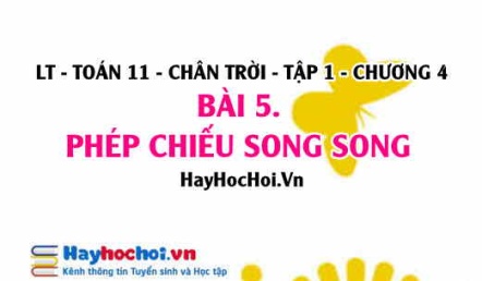 Phép chiếu song song là gì, tính chất cơ bản của phép chiếu song song và hình biểu diễn? Toán 11 chân trời Tập 1 chương 4 Bài 5